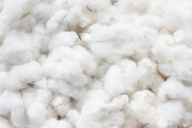 Cotton Comfort